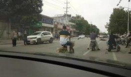 石家庄元氏爆料最新消息,揭秘石家庄重大事件背后真相